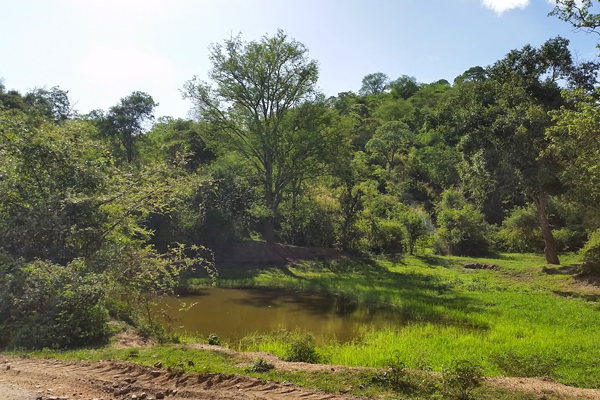 Jawalagiri Reserve Forest