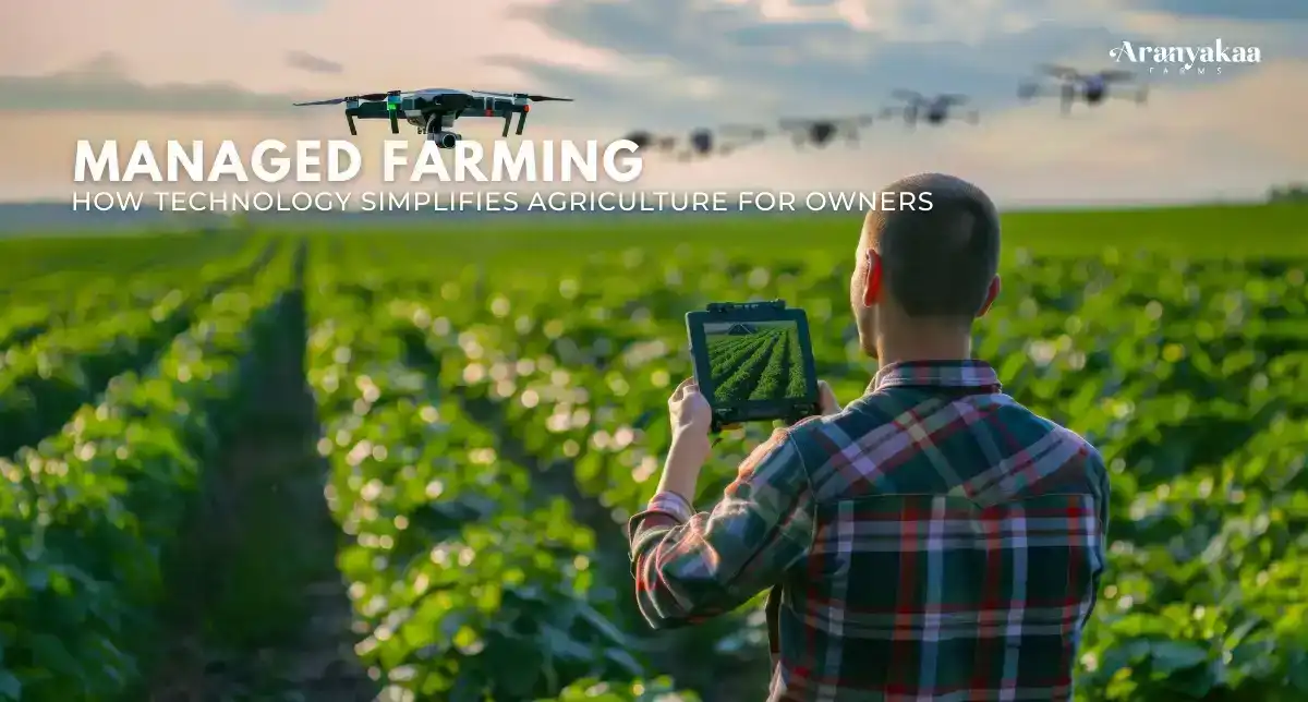 Forget Stocks & Crypto: Why Farmland is the Safest Investment of 2025