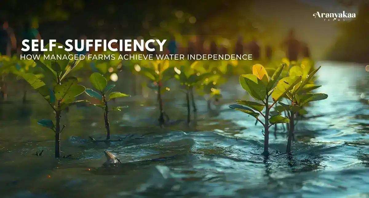 How Managed Farms Achieve Water Independence...