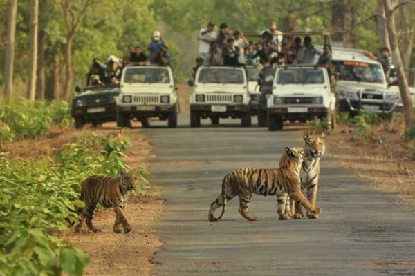 Bannerghatta National Park
