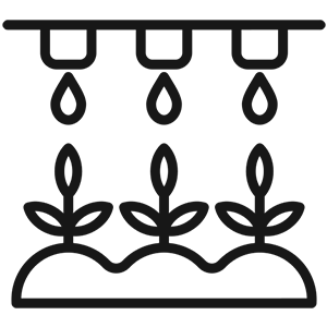 Drip Irrigation