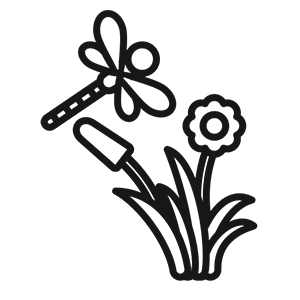 Flora and Fauna
