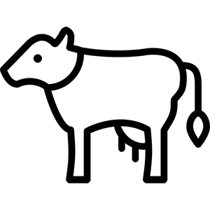 Gaushala