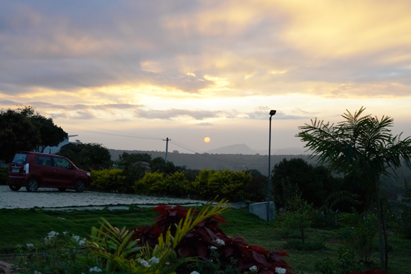 Nature View