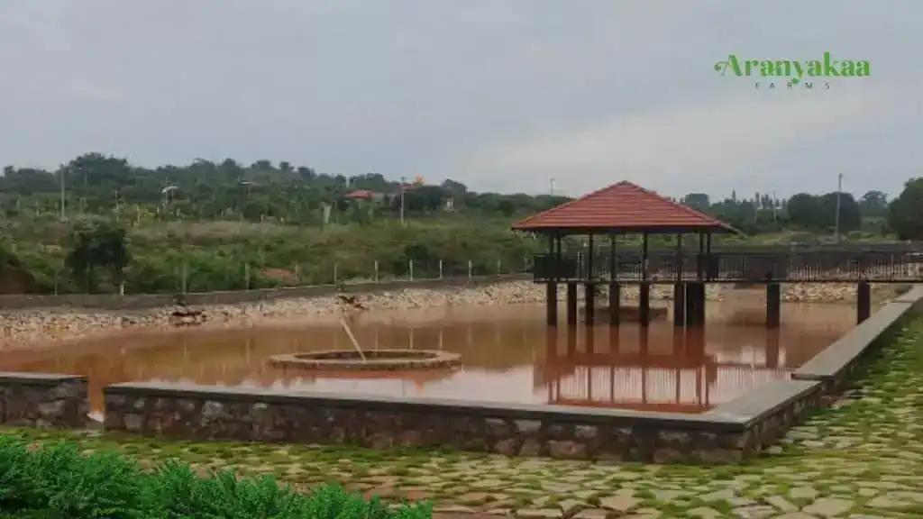 Embrace total water independence at the self-sufficient farmland model near Bengaluru