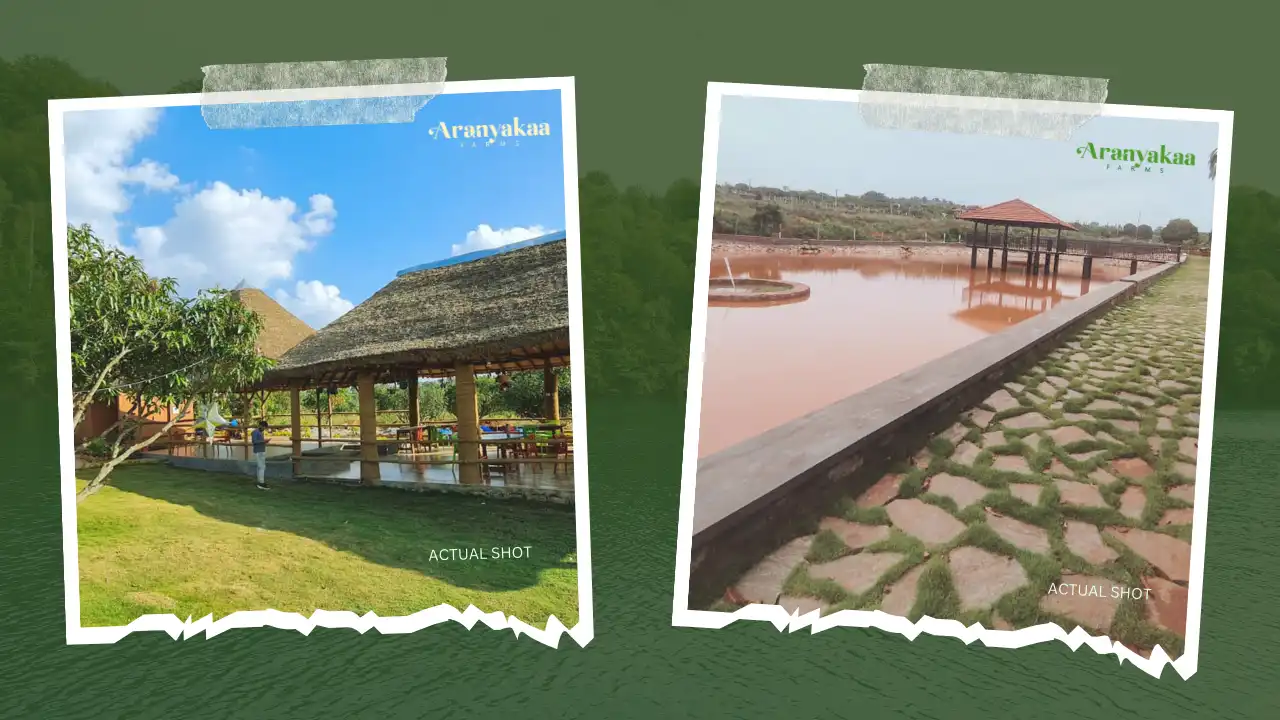 Aranyakaa Farms Achieves 75% Increase In Farmland Value In 3 Years