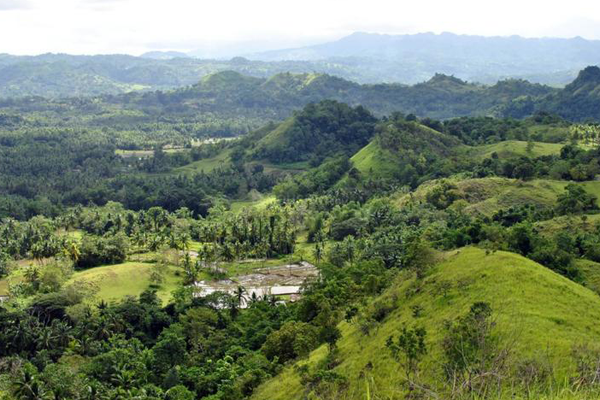 Sandanapalli Forest Area